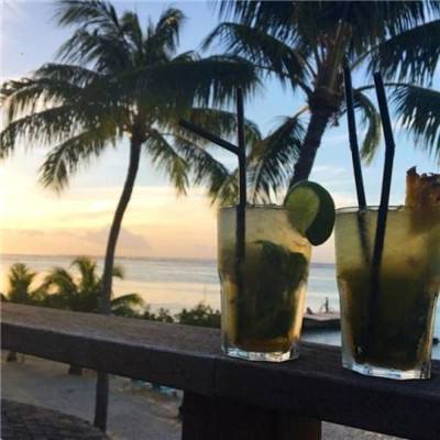 奥亚国际-登录入口